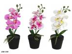 MACETA ARTIFICIAL ORQUIDEAS X5 REAL TOUCH 28cm  SURTIDO A ELEGIR 1  