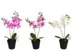 MACETA ARTIFICIAL ORQUIDEAS X8 35cm  SURTIDO A ELEGIR 1        